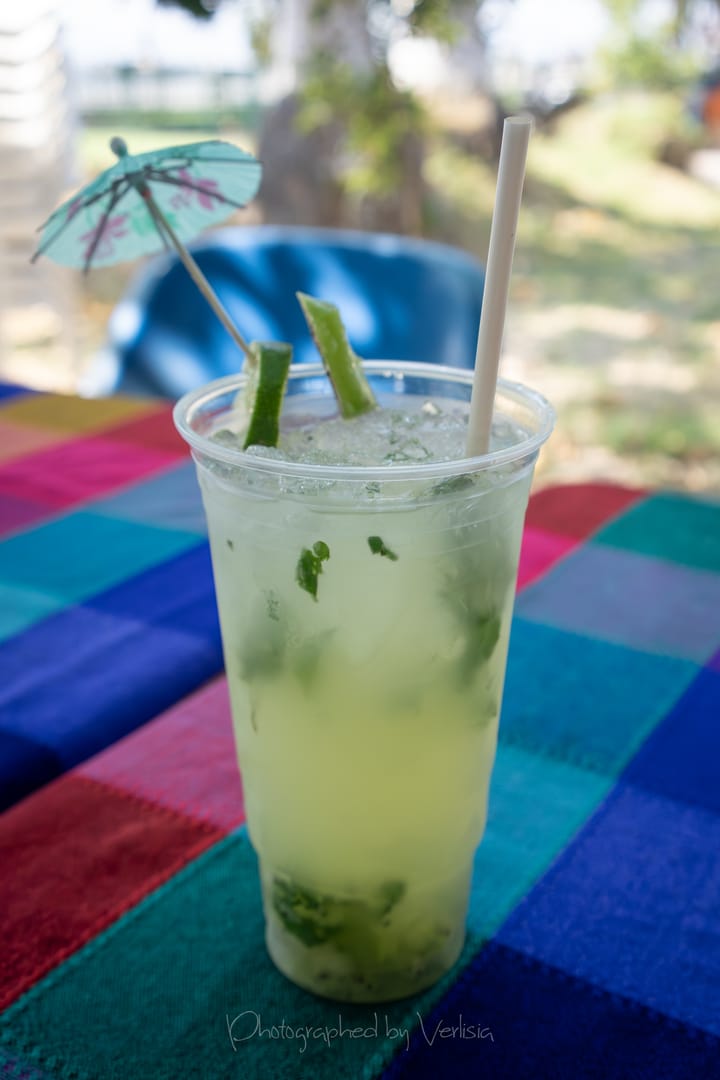 Béba-México, Chapala, Jalisco, Mexico